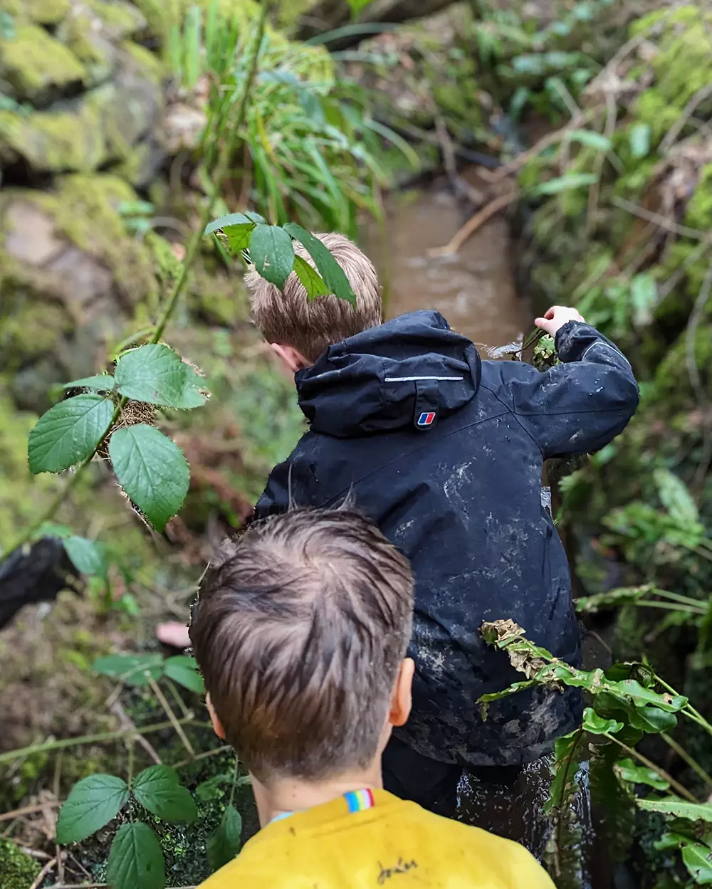 forest-school-secondary1 1 forest school secondary1